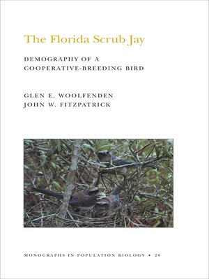 cover image of The Florida Scrub Jay